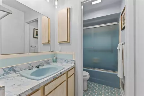 Bath - 303 E Huron River Dr, Belleville, MI 48111 photo 5 of 5