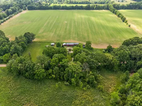 View/Area - 11230 Hoyt Rd, Henrietta, MI 49259 photo 3 of 7