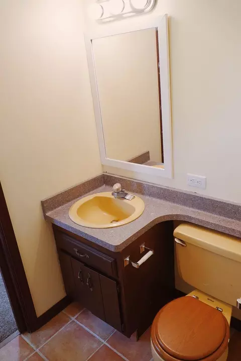 Bath - 3787 Northmeadow Rd, Blackman, MI 49201 photo 3 of 4