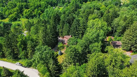 View/Area - 3654 E Pineview Dr, Scio, MI 48130 photo 3 of 7