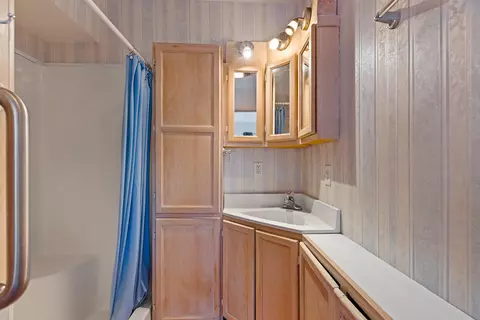 Bath - 4079 Bennett Ct, Madison, MI 49221 photo 1 of 3