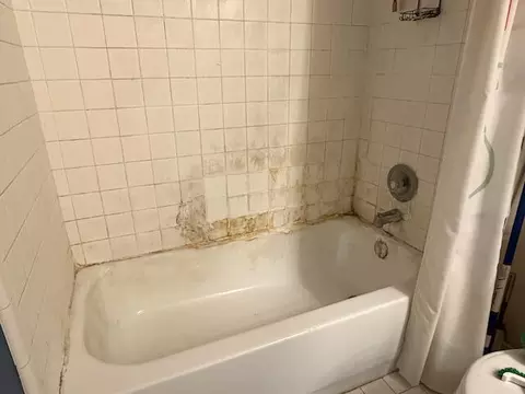 Bath - 2817 Windside Ct, Scio, MI 48103 photo 8 of 8