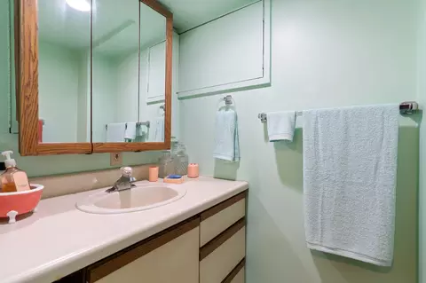 Bath - 113 Watt Rd, Lyndon, MI 48137 photo 2 of 3