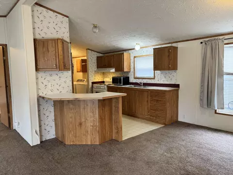Kitchen - 421 Cheyenne River Dr, Adrian, MI 49221 photo 1 of 3