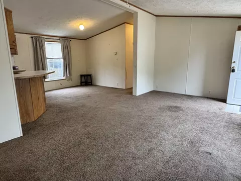 Living - 421 Cheyenne River Dr, Adrian, MI 49221 photo 4 of 5