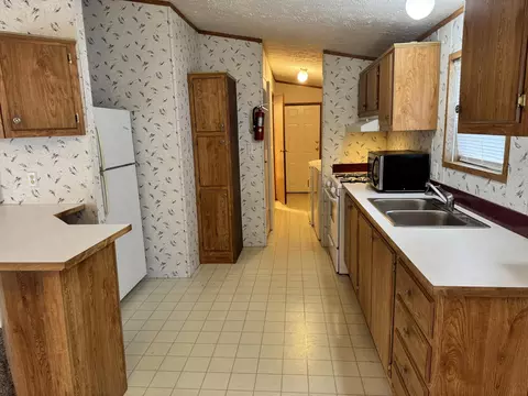 Kitchen - 421 Cheyenne River Dr, Adrian, MI 49221 photo 3 of 3