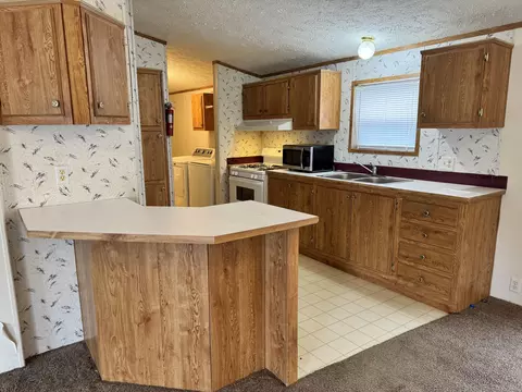 Kitchen - 421 Cheyenne River Dr, Adrian, MI 49221 photo 2 of 3