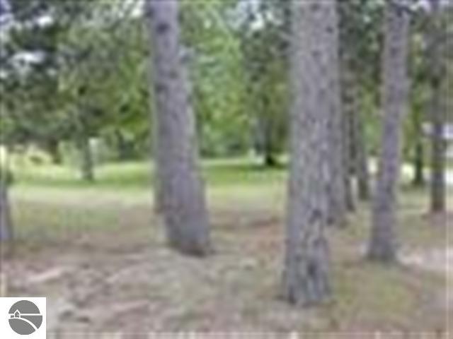 10131 Us-31, Interlochen, MI 49643 photo 10