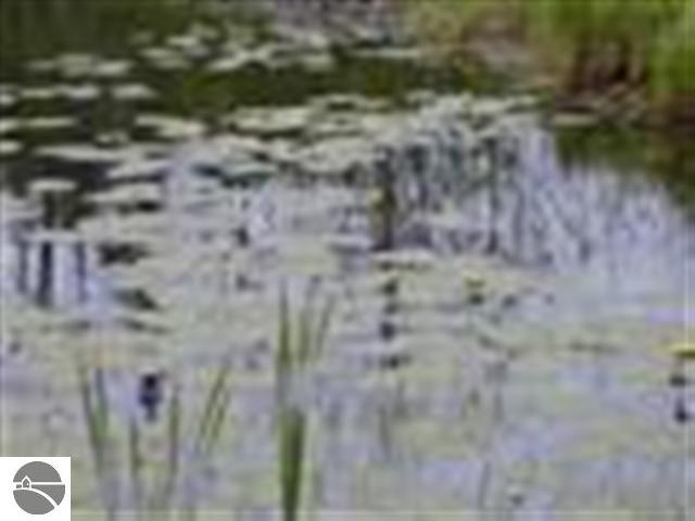 10131 Us-31, Interlochen, MI 49643 photo 6