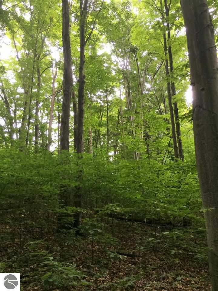 12350 S Cedar Rd, Cedar, MI 49621 photo 10