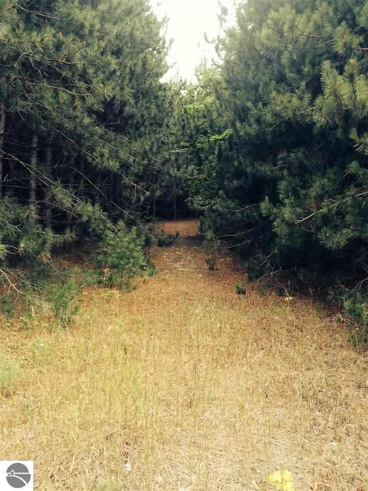 12350 S Cedar Rd, Cedar, MI 49621 photo 23