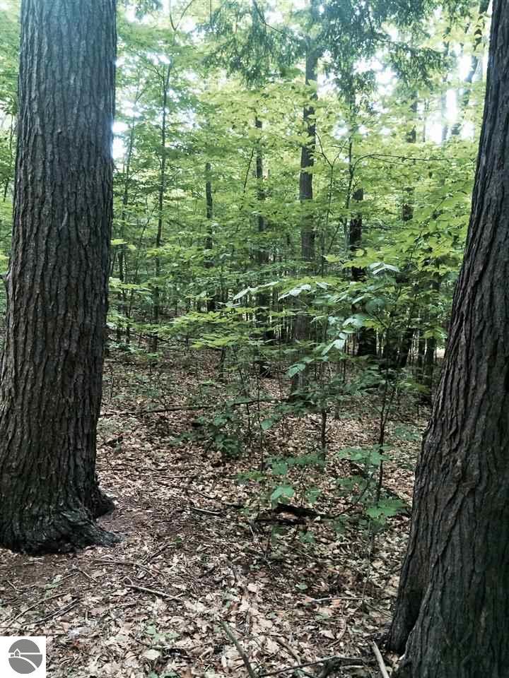 12350 S Cedar Rd, Cedar, MI 49621 photo 20