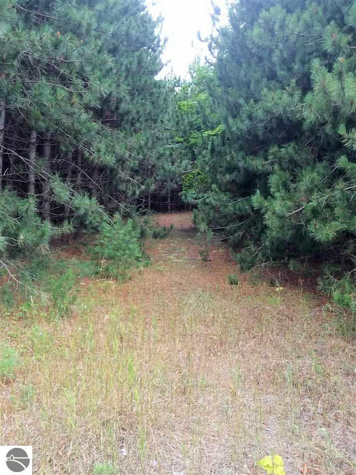 12350 S Cedar Rd, Cedar, MI 49621 photo 3