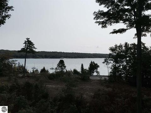 12904 E Page Ln, Omena, MI 49674 photo 9