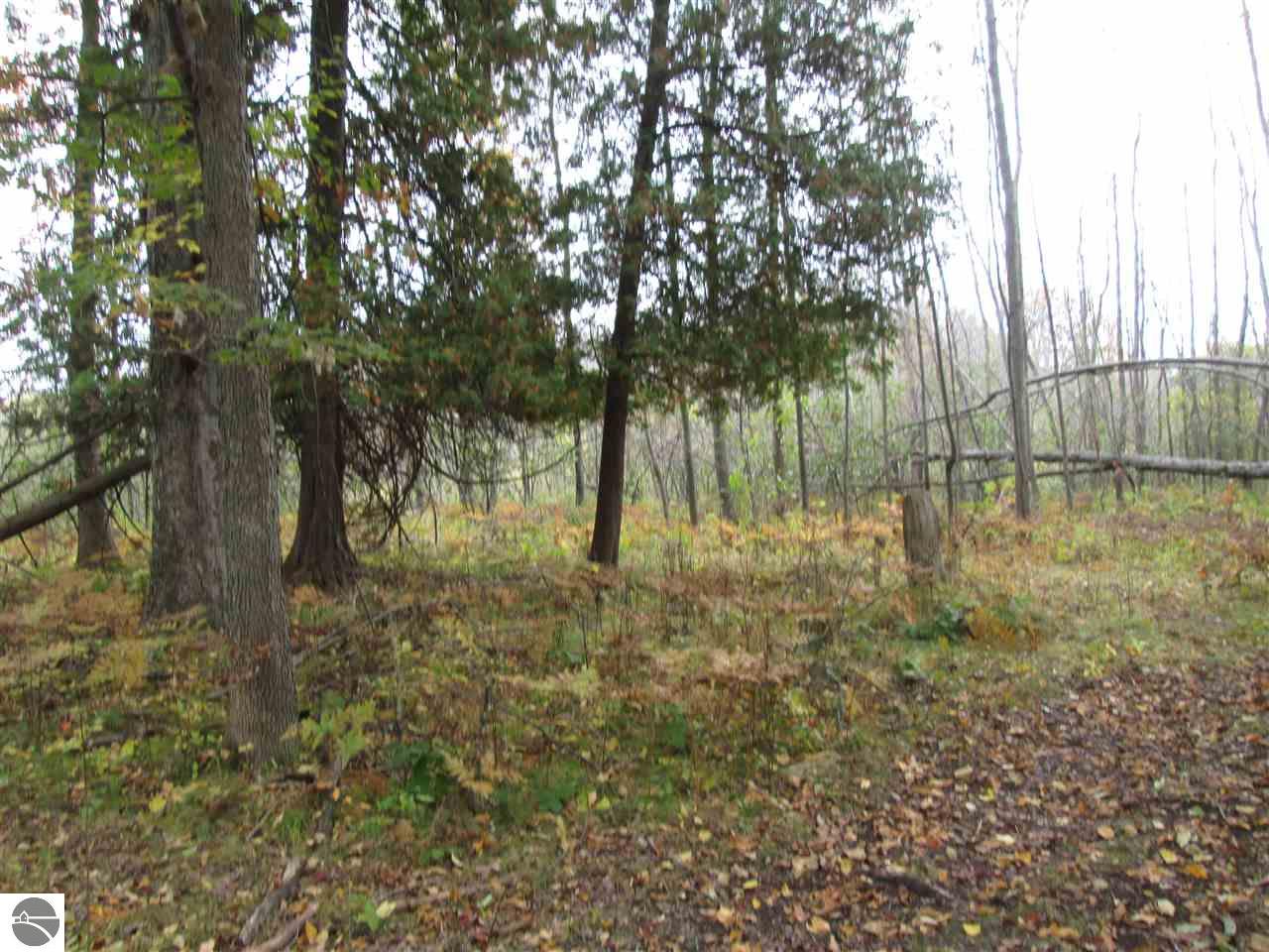 527 Everett Trl, Hale, MI 48739 photo 21