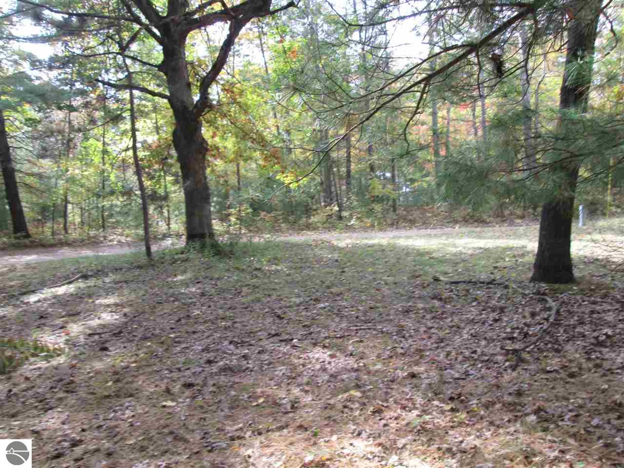 527 Everett Trl, Hale, MI 48739 photo 15