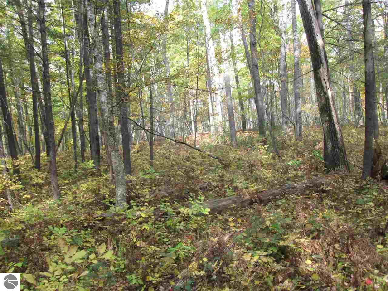 527 Everett Trl, Hale, MI 48739 photo 18