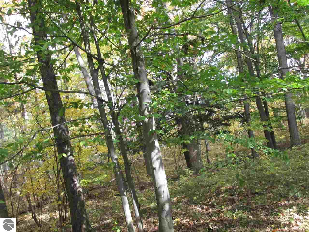 527 Everett Trl, Hale, MI 48739 photo 17