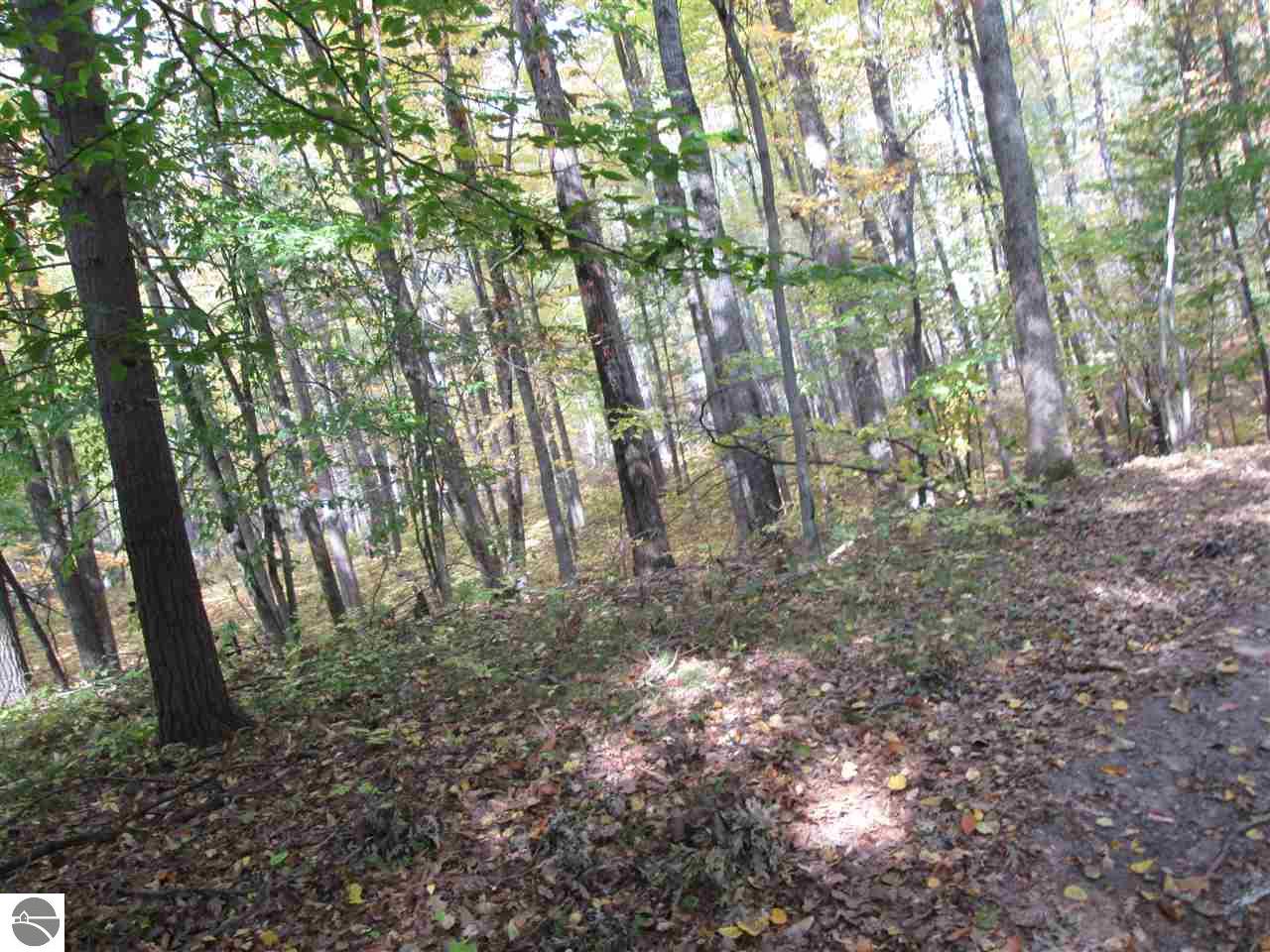 527 Everett Trl, Hale, MI 48739 photo 16