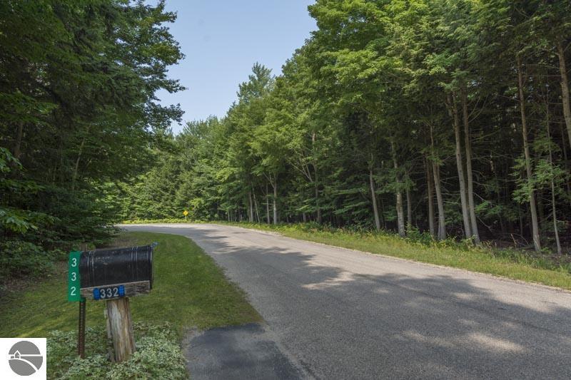 332 E Sugar Bay Ln, Cedar, MI 49621 photo 14