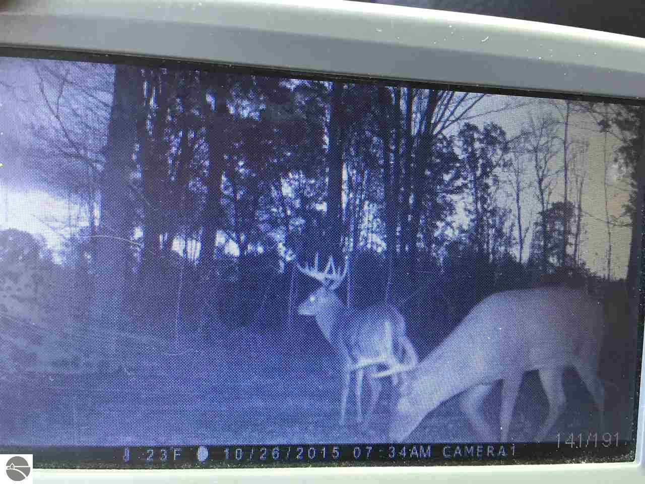 450 Old State Rd, Harrison, MI 48625 photo 18