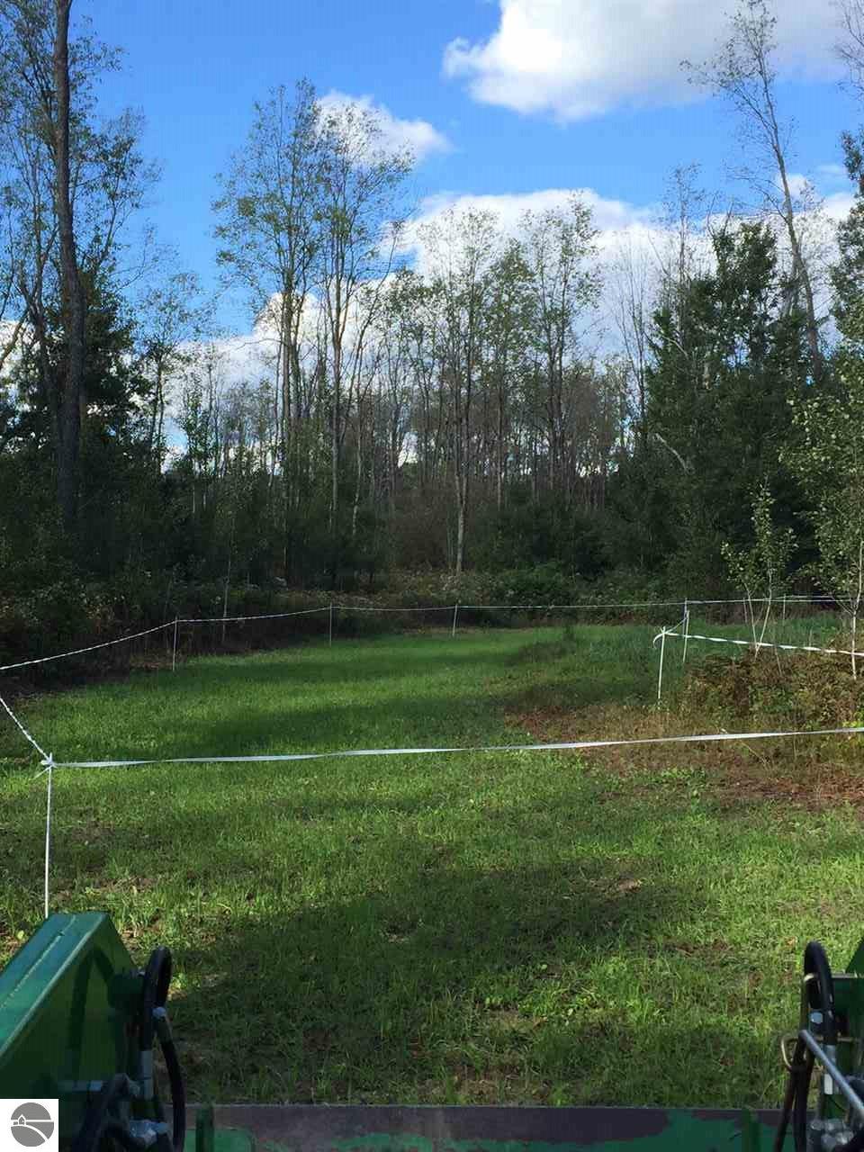 450 Old State Rd, Harrison, MI 48625 photo 15