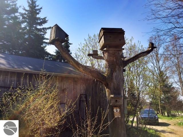 2981 Eitzen Rd, Cedar, MI 49621 photo 24