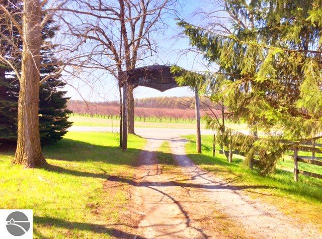 2981 Eitzen Rd, Cedar, MI 49621 photo 26