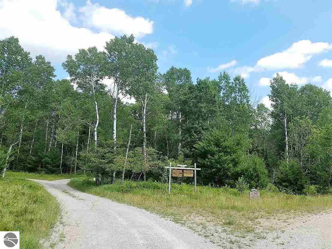 25 Flashlight Bnd, Grayling, MI 49738 photo 21