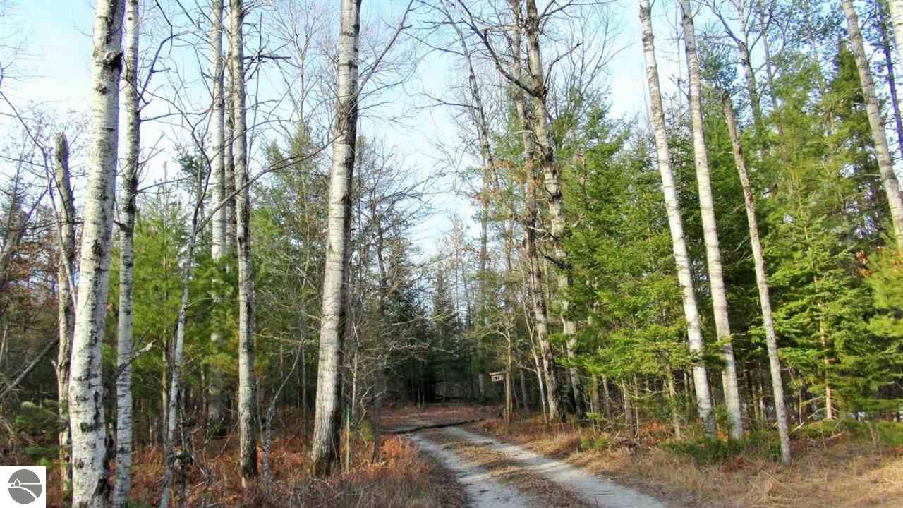 25 Flashlight Bnd, Grayling, MI 49738 photo 20