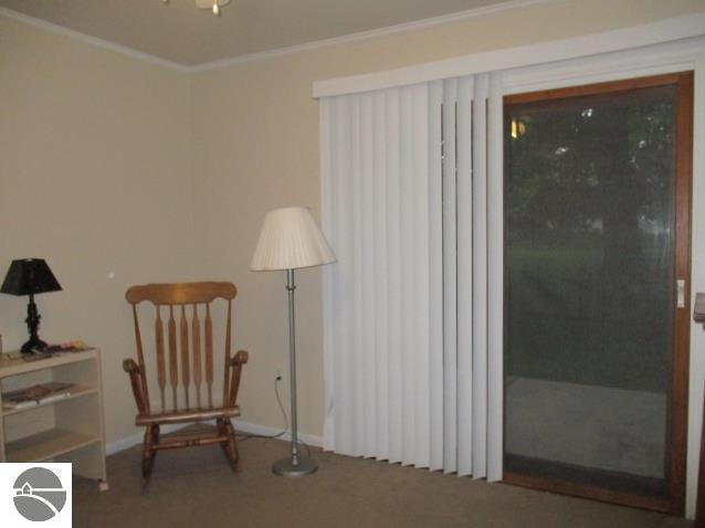 321 End St, Alma, MI 48801 photo 23