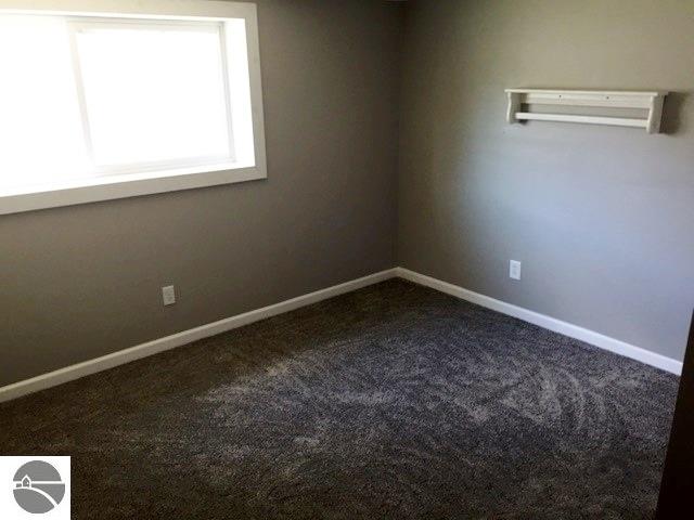 921 E Center St, Ithaca, MI 48847 photo 12