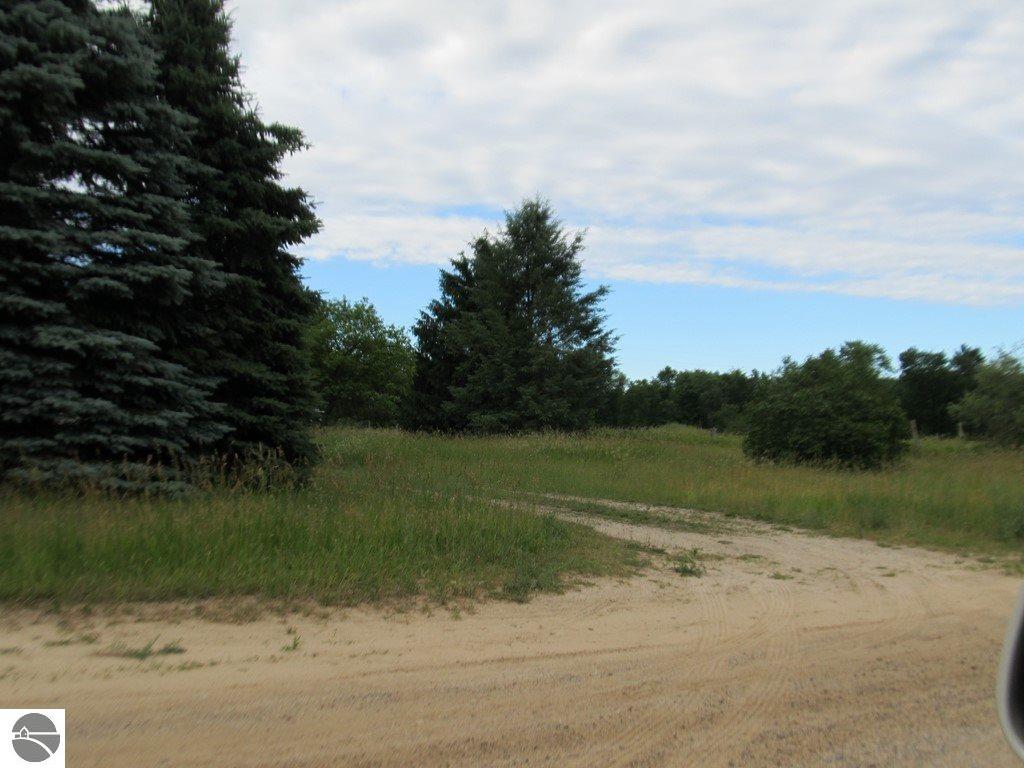 7394 W Remick Rd, Edmore, MI 48829 photo 2