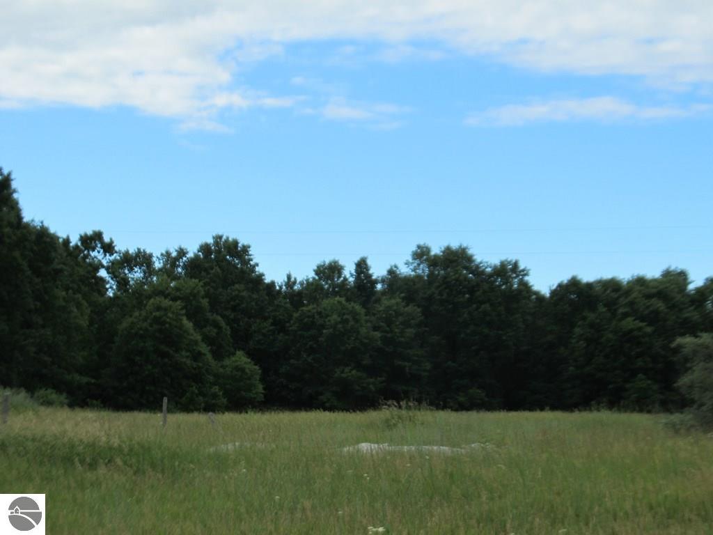 7394 W Remick Rd, Edmore, MI 48829 photo 9