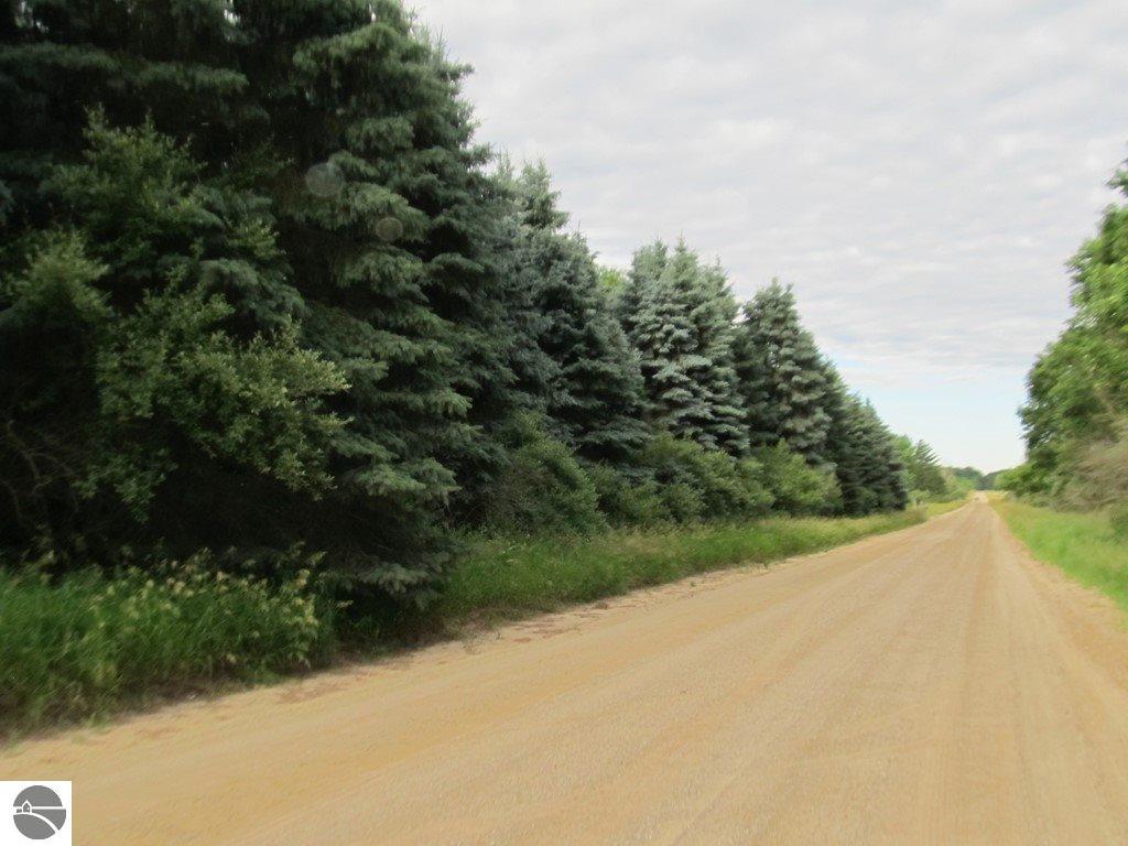 7394 W Remick Rd, Edmore, MI 48829 photo 23