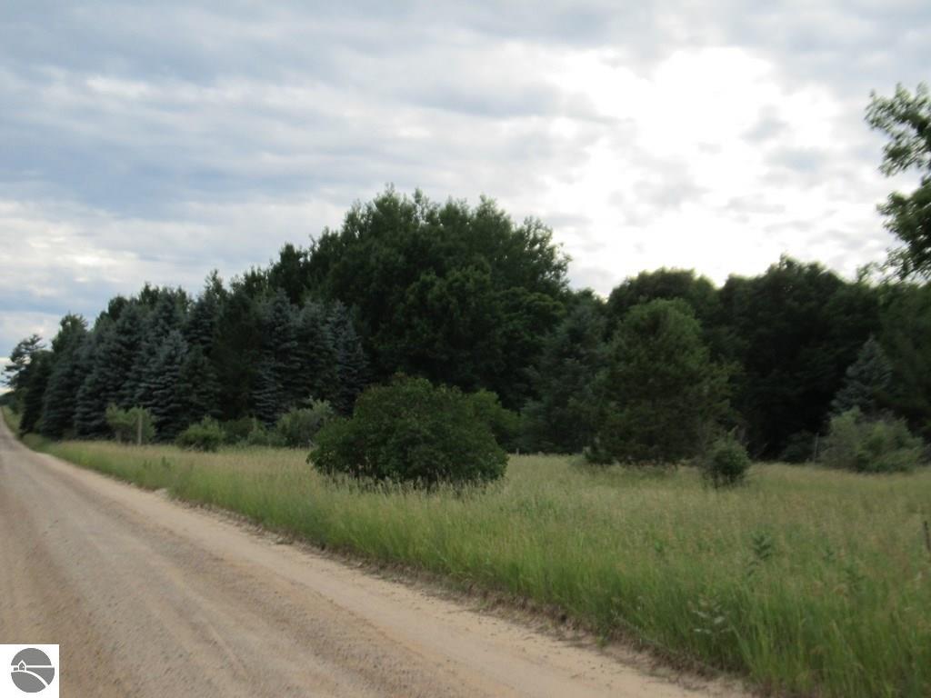7394 W Remick Rd, Edmore, MI 48829 photo 6