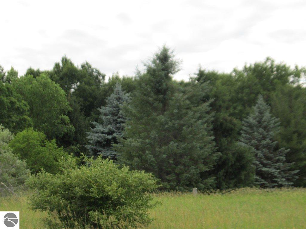 7394 W Remick Rd, Edmore, MI 48829 photo 10