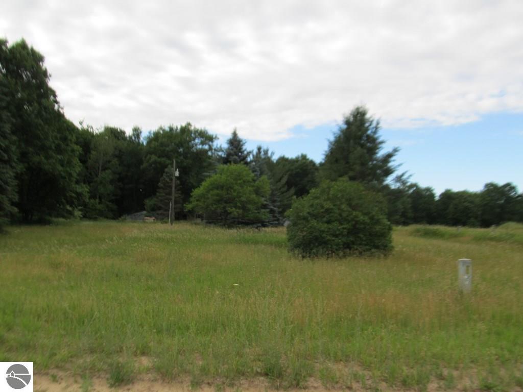 7394 W Remick Rd, Edmore, MI 48829 photo 18
