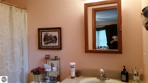 5631 Hammell Beach Rd, Au Gres, MI 48703 photo 10