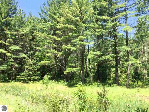 2424 Pierce Rd, Mio, MI 48647 photo 19