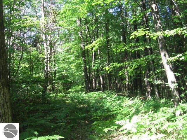 1275 Laporte Rd, Alger, MI 48610 photo 8