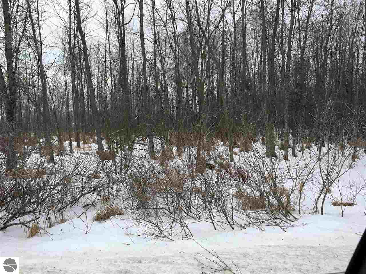 1925 Black, Twining, MI 48766 photo 12