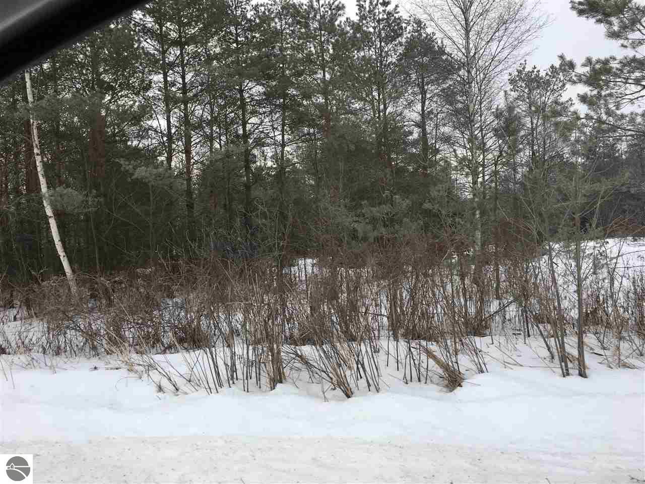 1925 Black, Twining, MI 48766 photo 9