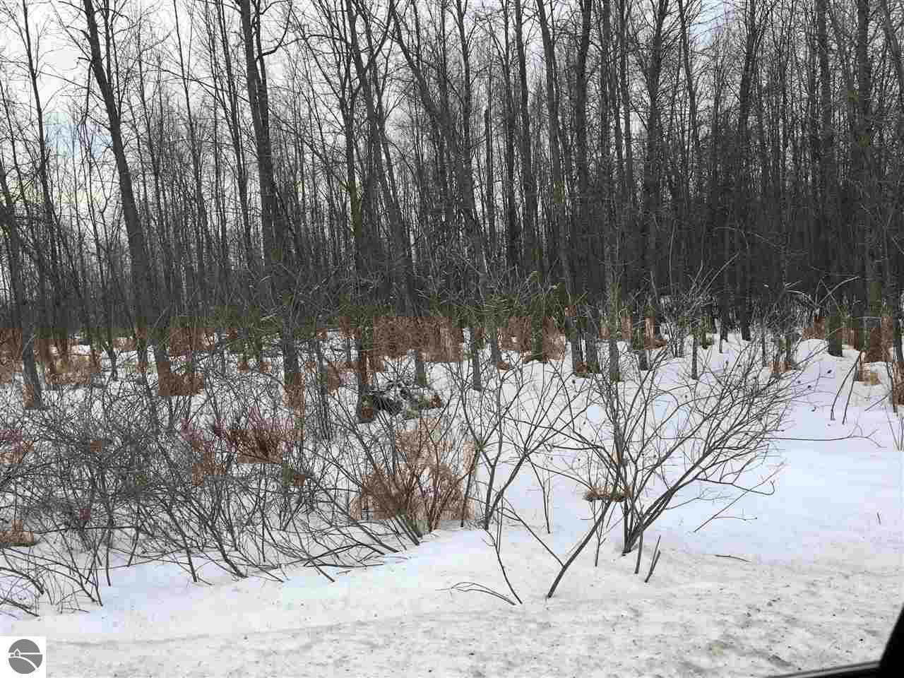 1925 Black, Twining, MI 48766 photo 11