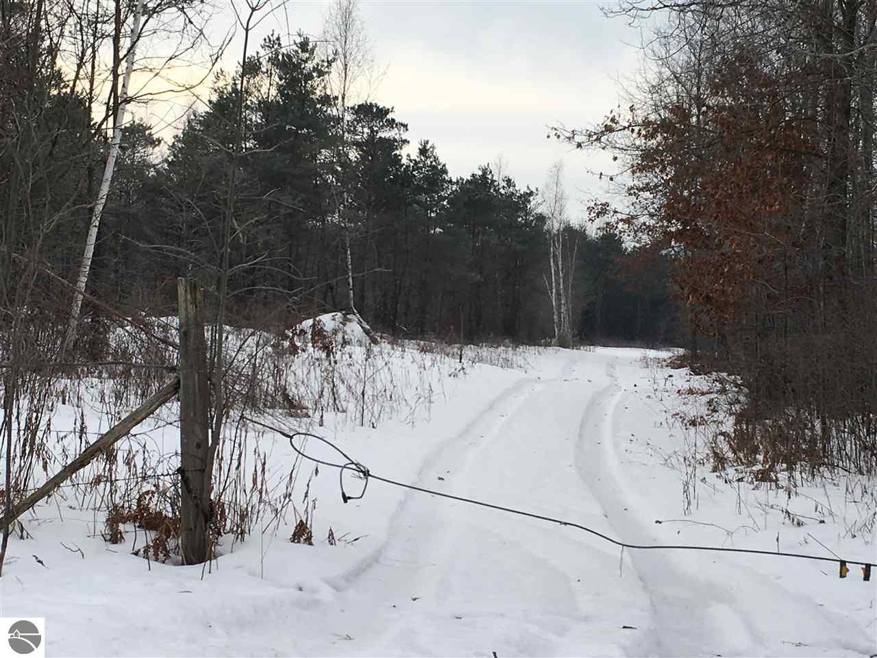 1925 Black, Twining, MI 48766 photo 8