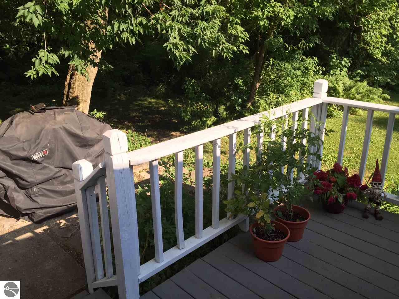 114 E Main St, Manton, MI 49663 photo 65