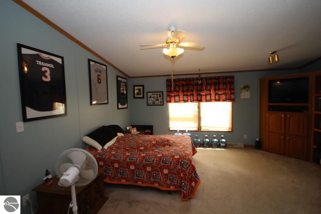 5945 E Baseline Rd, Mount Pleasant, MI 48858 photo 23