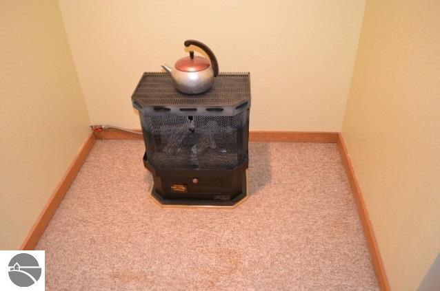 481 E Fillmore Rd, Ithaca, MI 48847 photo 21