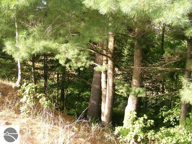 8075 E 16 Rd, Manton, MI 49663 photo 7