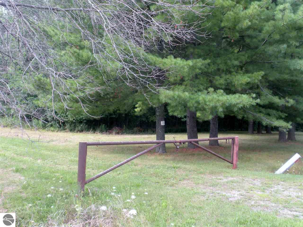 970 E Coleman Rd, Clare, MI 48617 photo 2